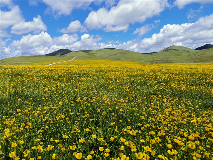 祝?；ê? 任剛.jpg