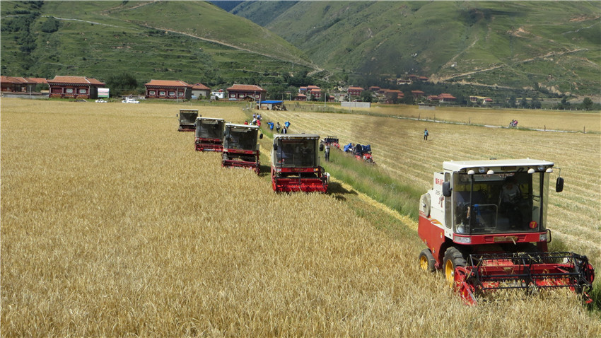 聯(lián)合收割機正.jpg 聯(lián)合收割機正.jpg