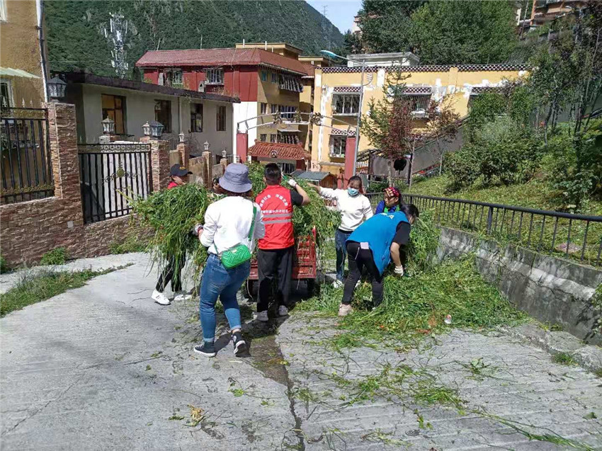 向陽社區(qū).jpg 向陽社區(qū).jpg