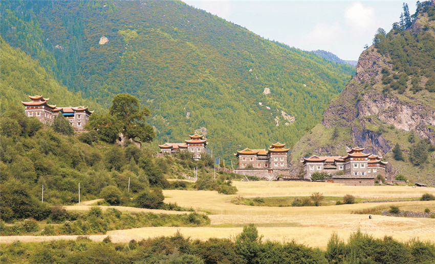 豐收在望.jpg 豐收在望.jpg