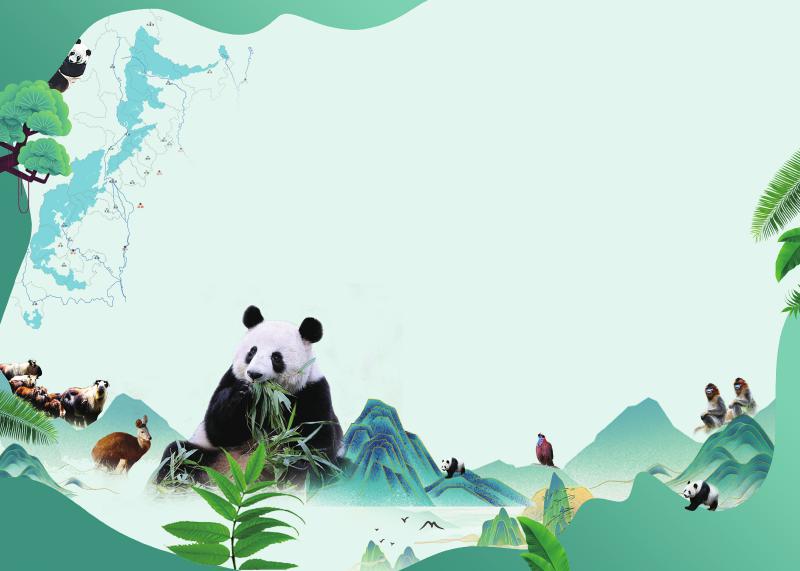 大熊貓.jpg 大熊貓.jpg