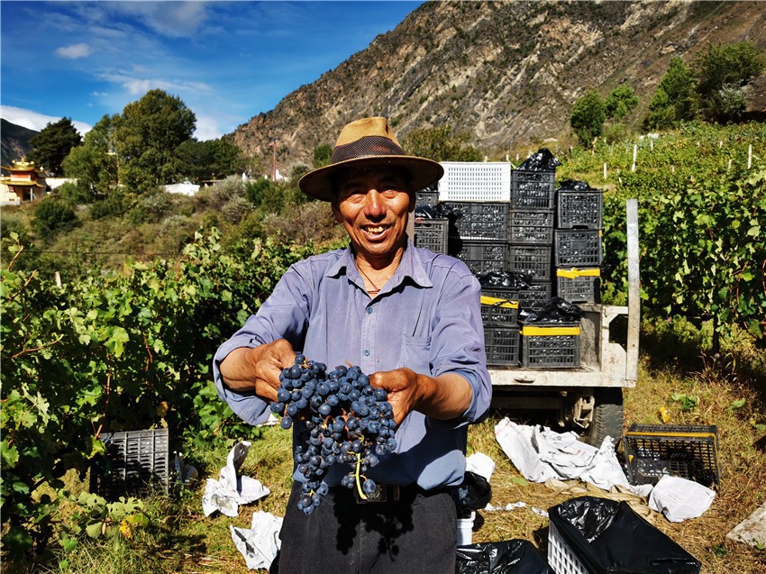 左比村村.jpg 左比村村.jpg