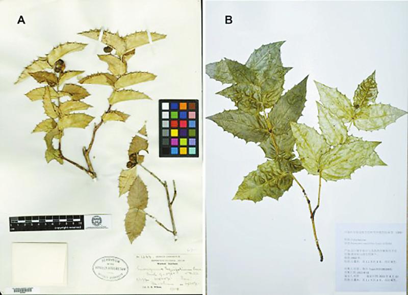 胡君等人.jpg 胡君等人.jpg