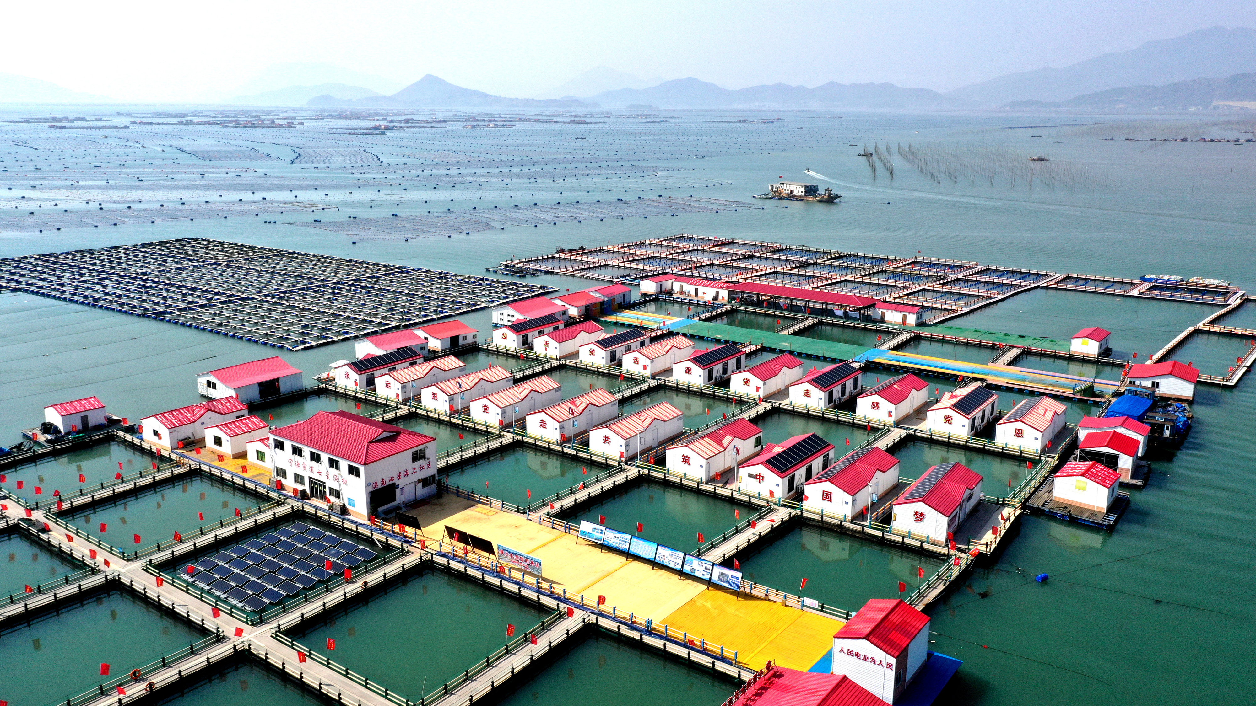 2024年3月20日，福建省寧德市，霞浦縣溪南鎮(zhèn)七星村漁排養(yǎng)殖示范區(qū)，漁民駕駛養(yǎng)殖船進行海參養(yǎng)殖作業(yè)。